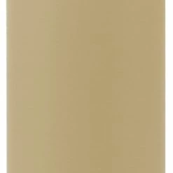 Nieuw 🔥 MIZU V7 Insulated Bottle 620ml With Vacuum Lid, Beige 💯